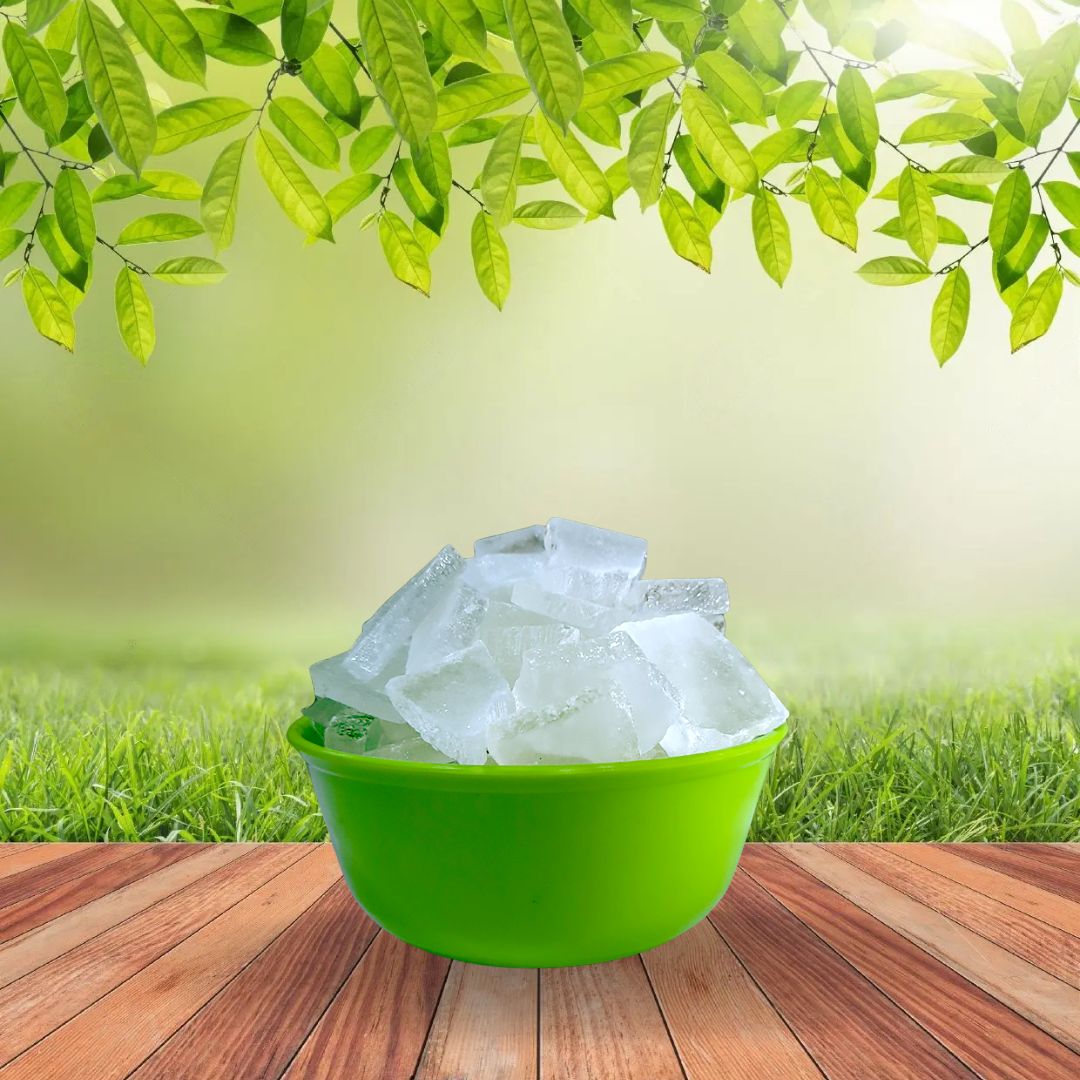 BARUS CAMPHOR
