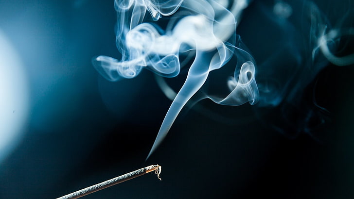 Lavender Incense Sticks with a Mesmerizing Fragrances in 2 Dozen Pack | Best for Pooja, Room Fragrances, Spa| Long Lasting Audacious Aroma