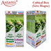 Mayasmatic Live mogra Agarbatti Regular Box Astami Puja Store SMJ Venture Pvt Ltd Kolkata